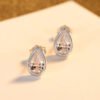 Teardrop Zircon Earrings